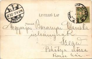 1905 Máramarossziget, Sighetu Marmatiei; Malomkerti részlet. Wizner és Dávid kiadása / park