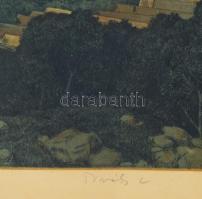 Novák Lajos (1927-1989): Dunakanyar). Színezett rézkarc, papír, jelzett, lap széle kissé foltos, üve...