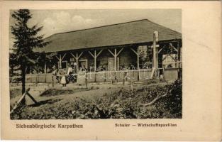 1919 Brassó, Kronstadt, Brasov; Schuler Wirtschaftspavillon / Keresztényhavas vendéglő. Jos. Drotleff Nr. 367. 1917. / Pestovar, mountain tourist house, chalet