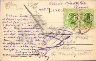 1919 Brassó, Kronstadt, Brasov; Schuler Wirtschaftspavillon / Keresztényhavas vendéglő. Jos. Drotlef...