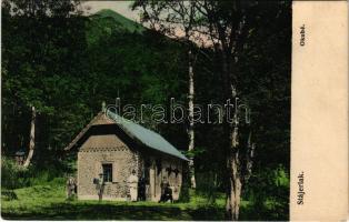 Stájerlak, Steierlak, Stájerlakanina, Steierdorf, Anina; Okubé menház. Scheitzner Ignatz kiadása / tourist rest house