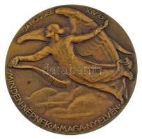 Berán Lajos (1882-1943) 1934. "Luther Márton" kétoldalas bronz emlékérem. "D LUTHER M...