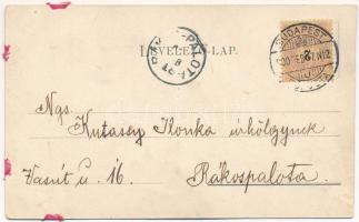 1900 Élővirágos levelezőlap. Galantai Gyula kiadása, Budapest / Greeting card with real flower