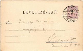 1899 (Vorläufer) Temesvár, Timisoara; Jenő herceg tér, Losonczy tér, piac, Belváros, Balázs tér, Hun...