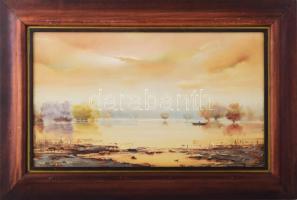 Oszter Dezső (1955-): Holtág. Olaj, farost, jelzett, hátoldalán autográf felirattal. 30x50 cm. Fakeretben.