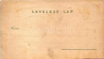 1898 (Vorläufer) Daruvár, Daruvar; Park, Bad, Kloster Pakra / fürdő, park, Pakra szerb ortodox kolos...