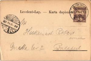 1901 Zagreb, Agram; Prva hrvatska stediona / Erste Great Sparkassa / First savings bank, shop of Pet...