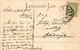 1906 Zimony, Semlin, Zemun; Streicher vendéglője. Montázs / restaurant. Montage (kis szakadás / smal...