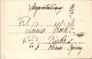 1904 Pancsova, Pancevo; Mária Terézia utca, Fodor és Antonovits és Janosevits üzlete. Kohn Samu kiad...