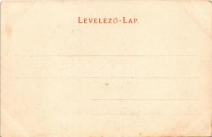 Kovácspatak, Kovacov; Nyaraló szálloda. Wallfisch S. kiadása / villa hotel