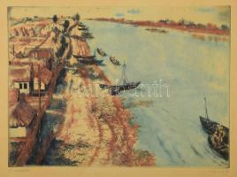 Görög Rezső (1930-): Dunadelta. Színezett rézkarc, papír, jelzett. Üvegezett fakeretben. 25x34 cm
