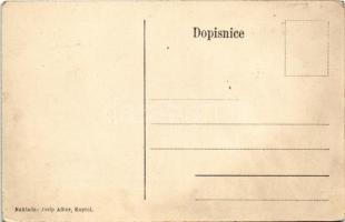 Pozsegaszentpéter, Kaptol; vár télen. Kiadja Josip Adler / castle in winter (ázott / wet damage)