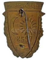 1919. "Székely Hadosztály" sapkajelvénye (46x37mm) sorszámozott "2557" hátlappal...