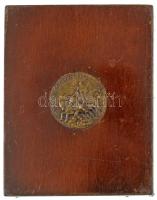 DN "Törekvés Sport Egylet 1900" bronz sportérem (29mm) fa talapzaton (78x99x12mm), alján filccel T:XF