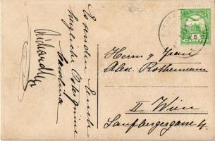 ~1912 Félszerfalva, Hirm; Villa Rottermann. photo