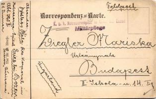 1914 Bolzano, Gries-Bozen (Südtirol); Pension Quisisana, Heinrich-Denkmal, Erzherzog Heinrich-Promen...