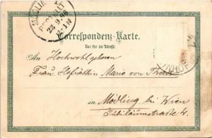 1896 (Vorläufer!) Gorizia, Görz, Gorica; Ottmar Zieher Art Nouveau, floral, litho (fl)