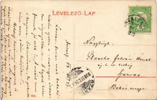 1908 Antalfalva, Kovacica; Sétatér külsőleg / promenade park