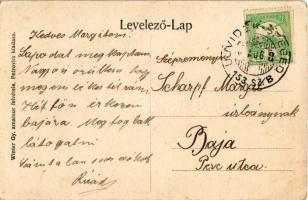 Mohol, Mol; Trenka kastély kert. Winter Gy. amateur felvétele, Petrovits kiadása / castle garden (EK...