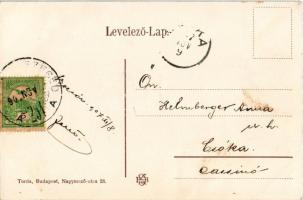 1907 Bocsár, Bocar; Állami iskola, Berger kastély / school, castle