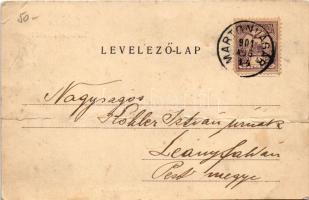 1901 Martonvásár, Óvoda, Takarékpénztár (fa)