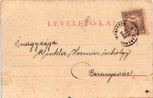 1900 Karapáncsa, Főhercegi vadászkastély. Rechnitzer Ottokár kiadása (kis szakadás / small tear)