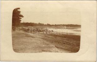 1913 Velence, Velencei-tó, gulya itatása, magyar folklór. photo