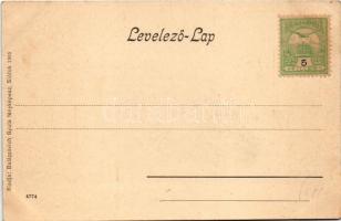 1905 Badacsony, Neptun szálloda, villa. Balázsovich Gyula fényképész kiadása (EK)