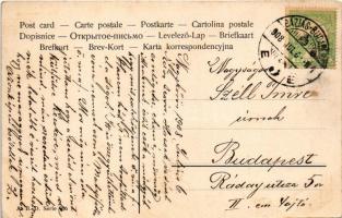 1908 Egér vadászok macskákra lőnek / Hunting mouse shooting on cats. A.B.D. Serie 966