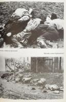 Varga László: Az elhagyott tömeg. Tanulmányok 1950-1956-ról. Bp., 1994, Cserépfalvi-Budapest Főváros...