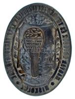 1910. "Magyar Orvosok és Természetvizsgálók XXXV. Vándorgyűlése - Miskolcz" bronz gomblyuk...