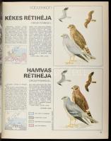 1979 Nimród. A Magyar Vadászok Országos Szövetségének a lapja, 1979-es, 1-10,12. számai, nem teljes ...