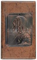 Ausztria DN "Franz Liszt" egyoldalas bronz lemezérem (74x62mm) kőlapon . Szign: Franz Stia...