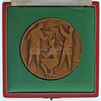 Vincze Dénes (1914-1972) DN Szocreál tudomány témájú bronz plakett (78mm) + műgyantás jelvény, megegyező motívummal (20x20mm), "Kiváló Ifjú Technikus 3. SZOT-KISZ K.B." műanyag lappal , dísztokban T:AU