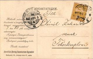 1906 Auguszta Mária Lujza bajor hercegnő, József Ágost főherceg felesége, osztrák főhercegné díszmag...