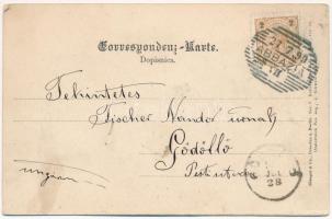 1899 (Vorläufer) Abbazia, Opatija; Hotel Stephanie. Stengel & Co. 4803. Emb. (fl)