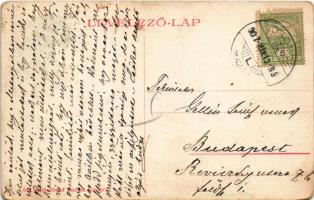 1907 Losonc, Lucenec; Szálloda a Magyar Királyhoz, Bezzegh Gyula, Roth Simon üzlete és saját kiadása...