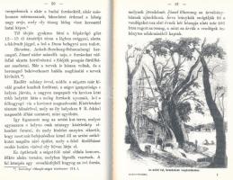 Törs Kálmán: Margit-sziget. 1872-es reprint kiadása. Bp., 1986, Múzsák. Kiadói papírkötés