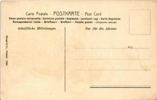 Hölgy autóban / Lady in automobile. Stengel &amp; Co. litho s: Alexander Popini (fl)