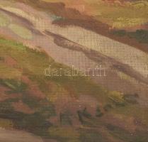 Olvashatatlan jelzéssel: Erdei út. Olaj, karton. Dekoratív, sérült fakeretben, 36,5×50 cm