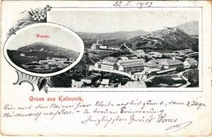 1903 Kalinovik, Wesac / general view. Art Nouveau, floral (EB)