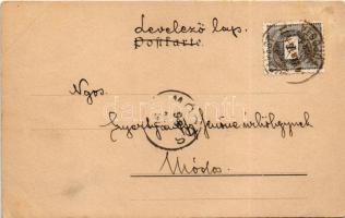 1898 (Vorläufer) Art Nouveau bicycle - VI/5. Wiener Künstler-Postkarte. Druck und Verlag Philipp &am...