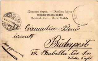 Stolac (Herzegowina), Castell, Sultan Selimova dzamija / castle, mosque. Verlag von Pacher & Kis...