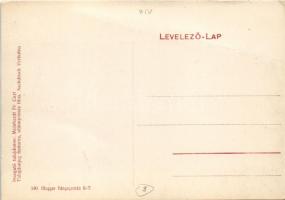 Budapest XIV. Angol Park, hegyi vasút hullámvasút, Alpesi Falu. Igazgató tulajdonos: Meinhardt Fr. C...