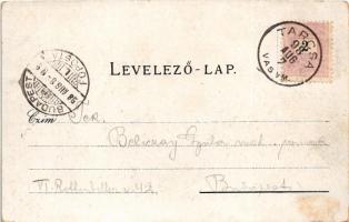 1898 (Vorläufer) Tarcsa, Bad Tatzmannsdorf; Mária és Carolina villa, Schweitzi ház, gyógyudvar, Forr...