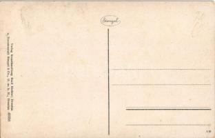 Weltbrand 1914 - Kampf der Grossmächte. Emil Richter s: Osmar Schindler