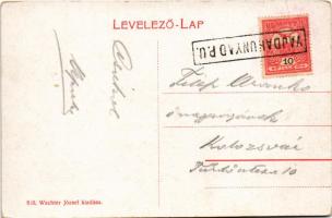 Vajdahunyad, Hunedoara; vár, vasgyár. Wachter József kiadása / castle, iron works, factory (fa)