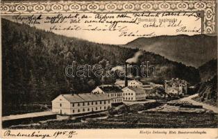 1905 Hermánd, Hermanecz, Harmanec; Papírgyár. Ivánszky Elek kiadása / paper mill, paper factory. Art...