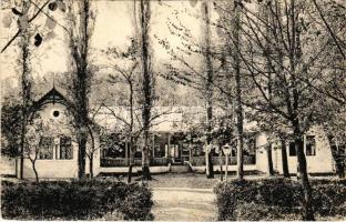 1924 Balázsfalva, Blasendorf, Blaj; Gradina publica din Veza / park, vendéglő / park, restaurant (fl)