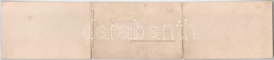 Kolozsvár, Cluj; 3-részes kihajtható panorámalap. Schuster Emil kiadása / 3-tiled folding panoramaca...